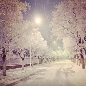 Meet your Posher, Ky